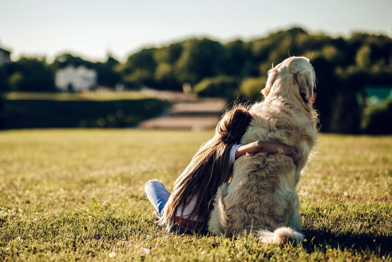 A young girl hugs a large dog while they look towards a distant green landscape.