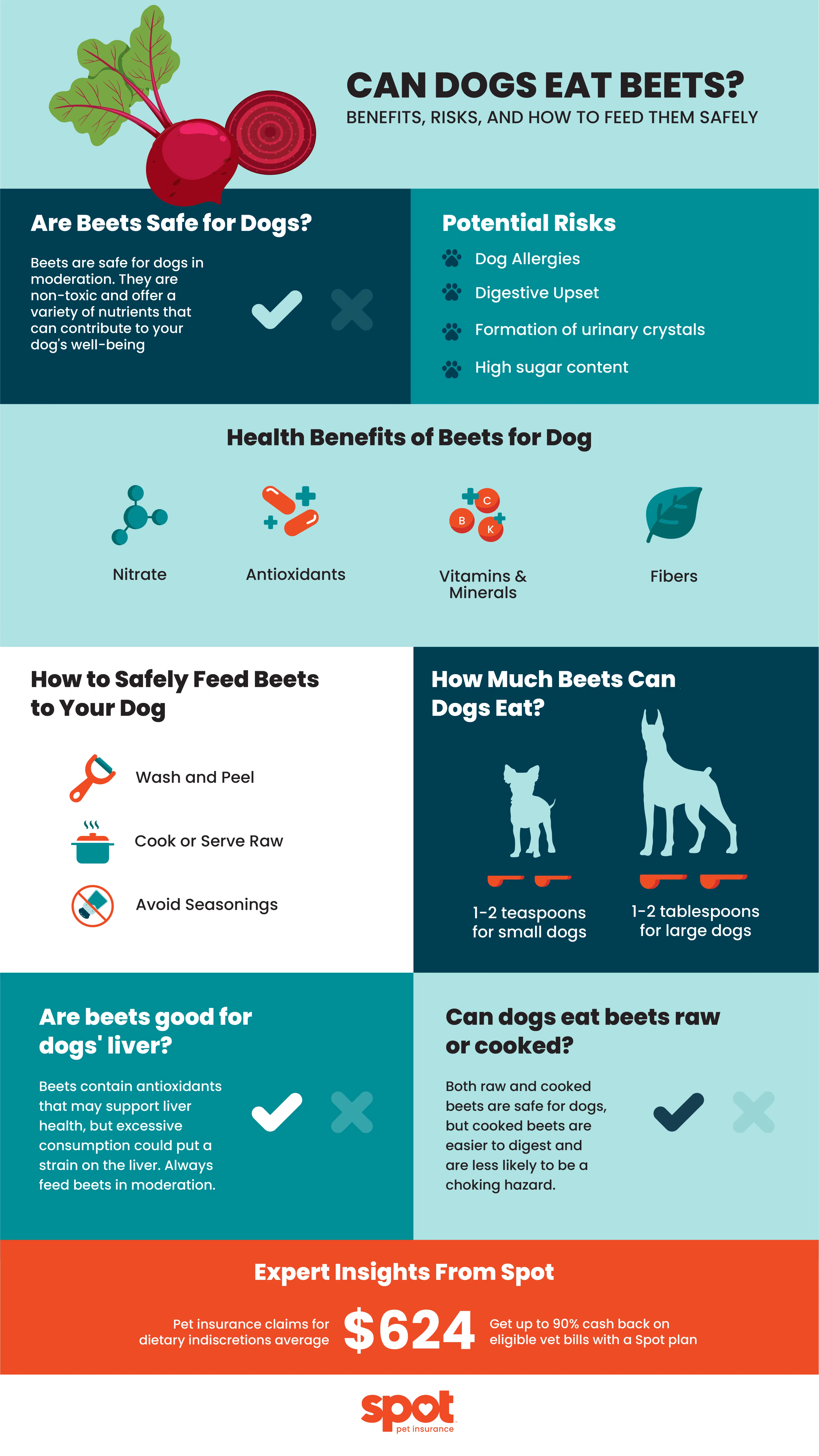 photo that details if dogs can eat beets and the benefits/dangers of these