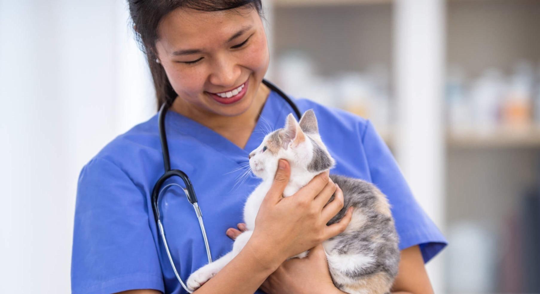How Much Is A Vet Checkup Spot Pet Insurance Canada how-much-is-a-vet-checkup-spot-pet-insurance-canada