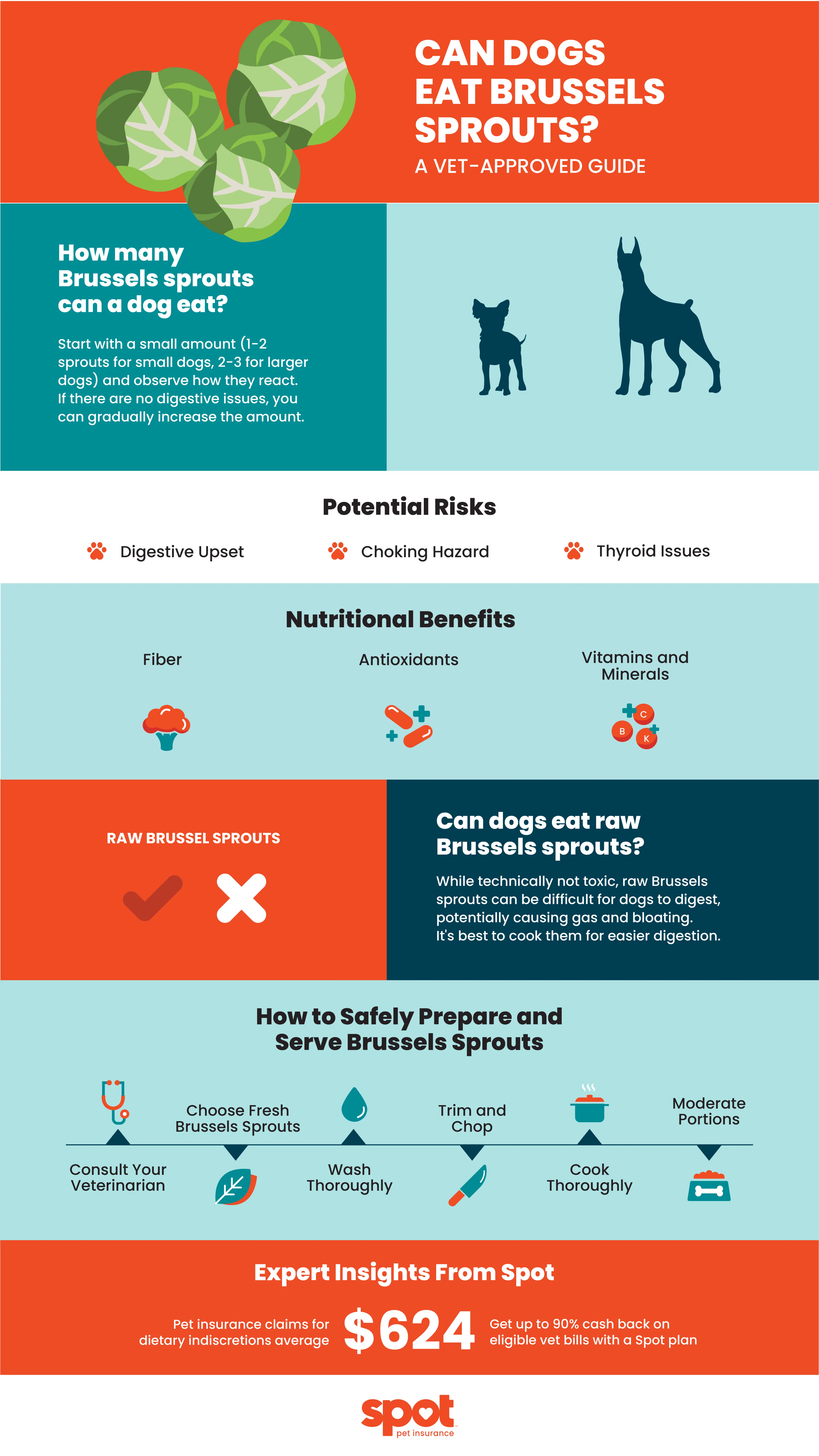 Infographic detailing if dogs can eat brussels sprouts