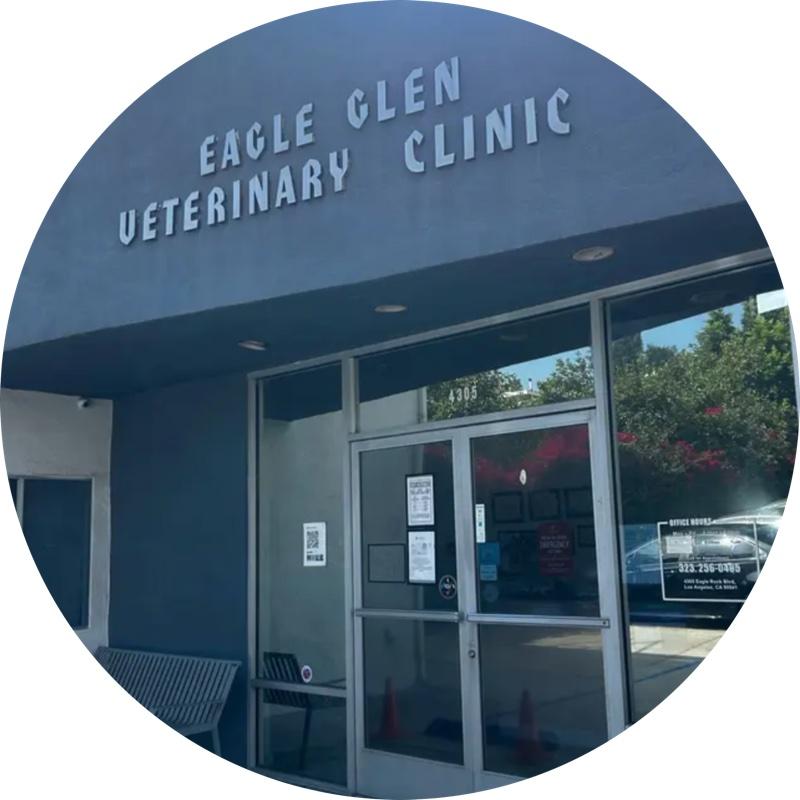 Article contributor Dr. Gina Melendez