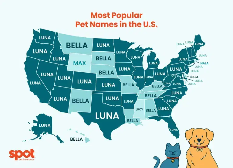 A map of the U.S. shows the most popular pet names by state with a cartoon dog and cat at the bottom right.