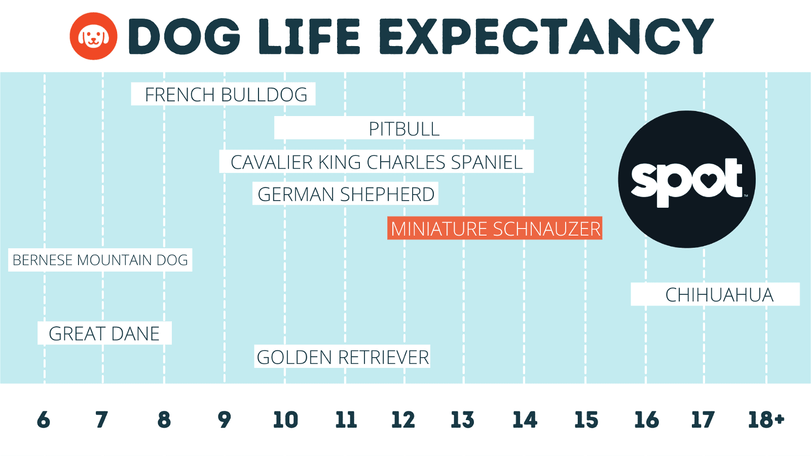 A chart titled "Dog Life Expectancy" shows average lifespans for various dog breeds from Great Dane to Chihuahua.