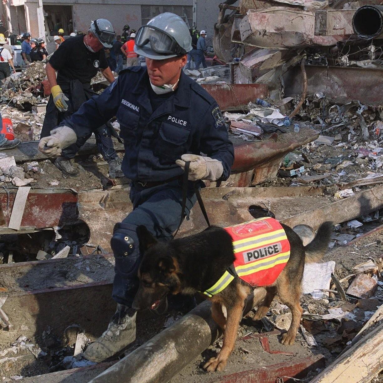 A police officer with a K9 dog in a "Police" vest searches through building rubble.