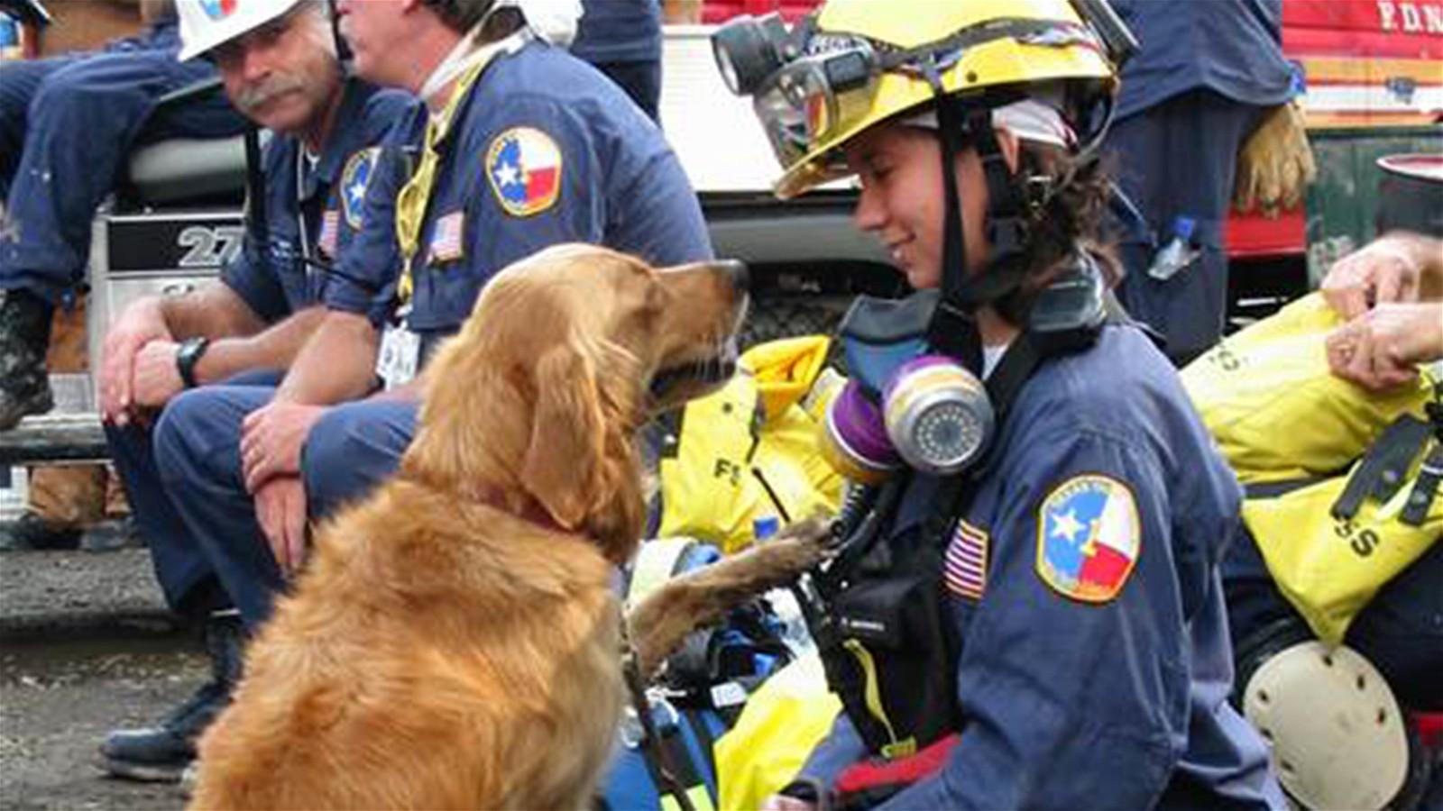 A rescue worker in blue uniform and yellow helmet sits on the ground with a golden retriever facing her.